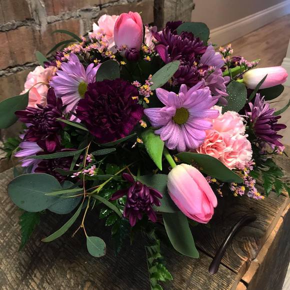 Meet your Posher, Dulcie - Picture 1 of 1